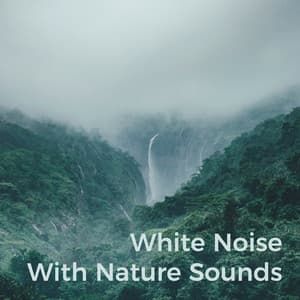 White Noise with Nature Sounds - Nature Noise
