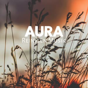 Aura Reinigen Musik - Alexander Swen
