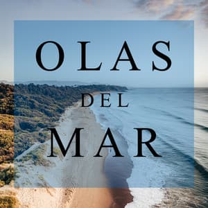 Olas del Mar - Massagem Guru