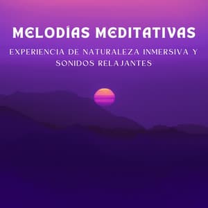 Melodías Meditativas: Experiencia De Naturaleza Inmersiva Y Sonidos Relajantes - Oriqi Soundhealing