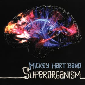 Superorganism - Mickey Hart