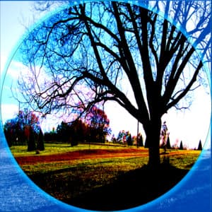 Soothing Background Ambiance - Wellness