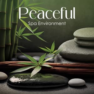 Peaceful Healing Retreat Environment - Joyce Long