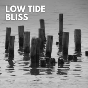 Low Tide Bliss - Sounds Of The Earth