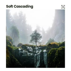Soft Cascading - Binaural Beat Brainwave Subliminal Systems
