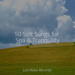 50 Soft Songs for Spa & Tranquility - Yoga