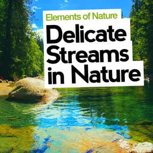 Delicate Streams in Nature - Elements of Nature
