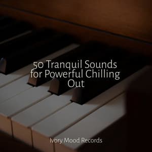 50 Tranquil Sounds for Powerful Chilling Out - Ivory Mood
