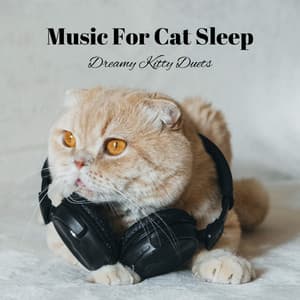 Music For Cat Sleep: Dreamy Kitty Duets - The One-Lane Bridge