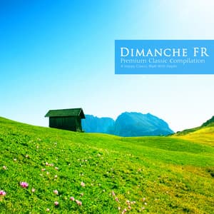 A Happy Classic Walk With Haydn - Dimanche FR