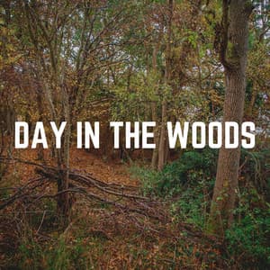 Day in the Woods - Actors of Nature