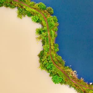 50 Ambient Rhythms:The Ocean's Pulse - Seascapers