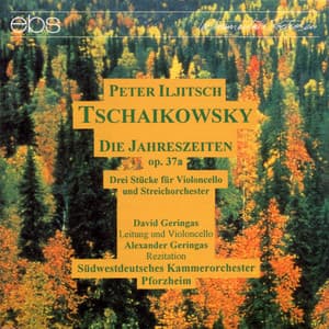 Peter Iljitsch Tchaikovsky: The Seasons Op. 37a - Pyotr Ilyich Tchaikovsky