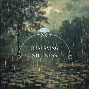 Observing Stillness - Bringer of Zen