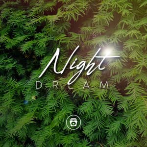 Night Dream - Sounds for Life