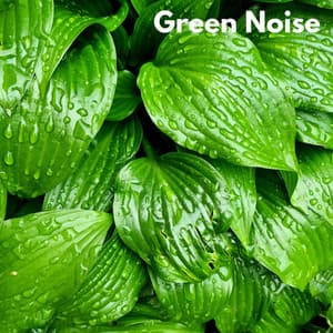 Green Noise - White Noise