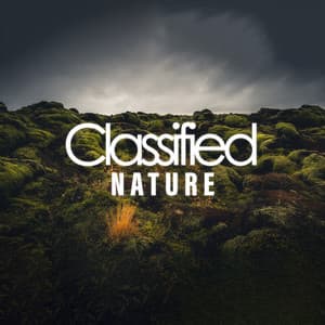 Classified Nature - Rain for Deep Sleep