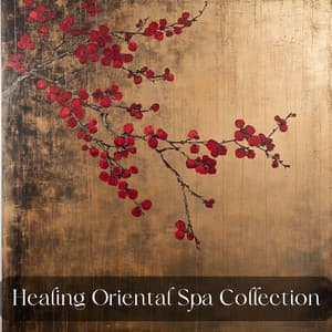 Destress and Relief Spa Time - Japanese Relaxation and Meditation