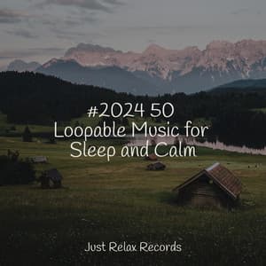 #2024 50 Loopable Music for Sleep and Calm - Sonido Del Bosque y Naturaleza