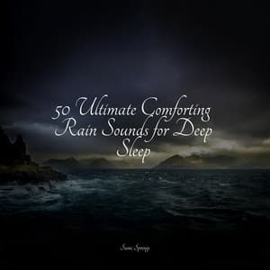 50 Ultimate Comforting Rain Sounds for Deep Sleep - Meditation Relaxation Club