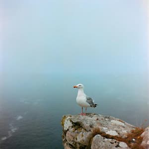 0 Hour Zenship: Continuum Shift - 16 Bit Serenity