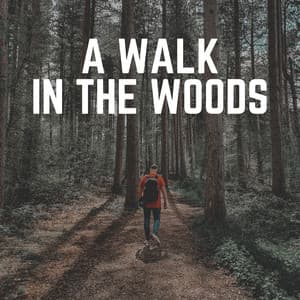 A Walk in the Woods - Tranquility Spa Universe