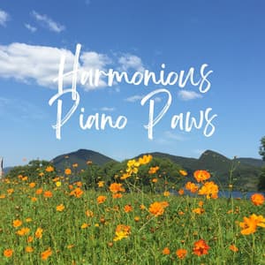 Harmonious Piano Paws: Serenades for Beloved Pets - Vincent & A Secret