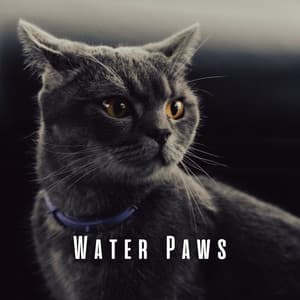 Water Paws: Chill Music for Calming Cat Companions - Water FX