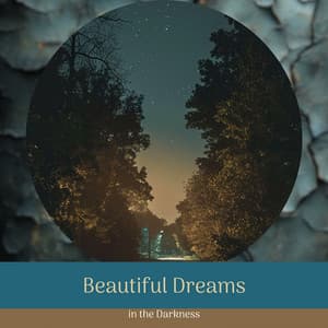 Beautiful Dreams in the Darkness - Night Ambience Lovers
