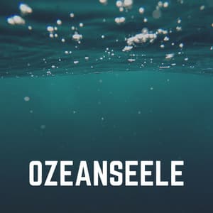Ozeanseele - Meeresgeräusche