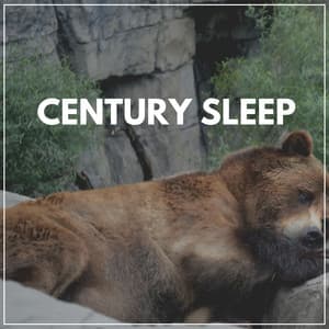 Century Sleep - Baby Sleep Sounds