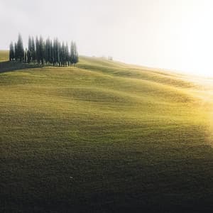 Doze White Colic Sound - Baby Sleeping Music