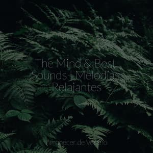 The Mind & Best Sounds | Melodías Relajantes - Nature Sounds Nature Music