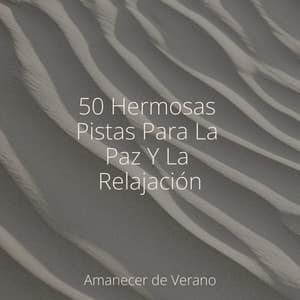 50 Hermosas Pistas Para La Paz Y La Relajación - Música Para Meditar y Relajarse