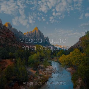 Música Natural Para Relajarse - Música Zen Relaxante