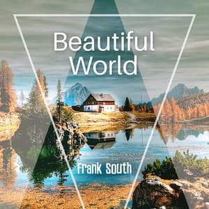 Beautiful World - Frank South