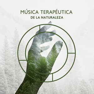 Música terapéutica de la naturaleza: Sonidos curativos de la naturaleza - Océano serenidad