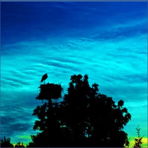 White Noise, Brown Noise, Appliances, Water and other Background Audio - Sleep Sound Library