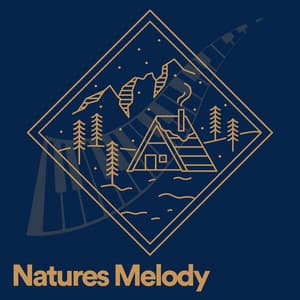 Natures Melody - Nature Sounds Artists