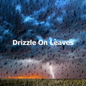 Drizzle On Leaves - It's Raining