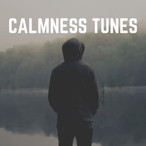 Calmness Tunes - Tranquility Spree