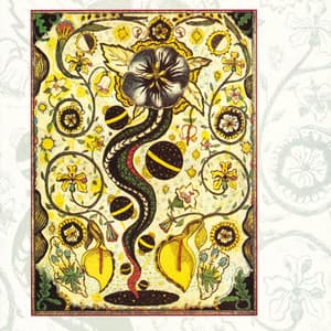 I Feel Alright - Steve Earle