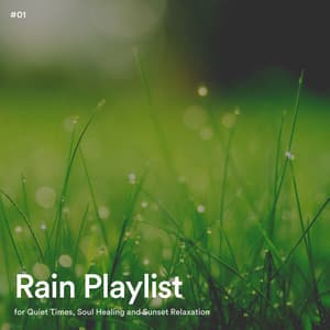 #01 Rain Playlist for Quiet Times, Soul Healing and Sunset Relaxation - Rain Radiance