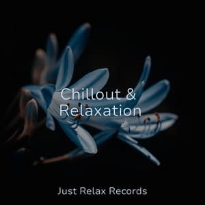 Chillout & Relaxation - Soothing Sounds