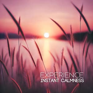 Experience Instant Calmness: Unlock Inner Harmony Through Music - Kings of Nature