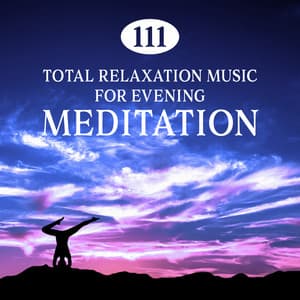 111: Total Relaxation Music for Evening Meditation, Healing Sounds of Nature, Treatment of Insomnia, Mindfulness Meditation Music, Spa - Deep Sleep Maestro