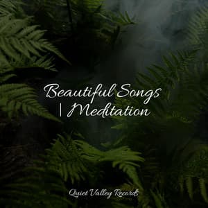 Beautiful Songs | Meditation - White Noise Nature Sounds Baby Sleep