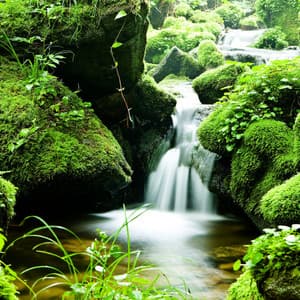 Sleep Soundscapes: Stream Water's Nighttime Whispers - TAKMIX Healing
