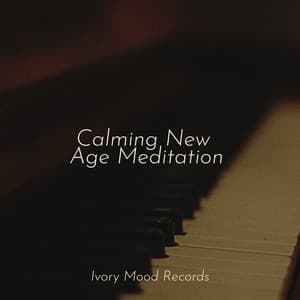 Calming New Age Meditation - Ivory Mood