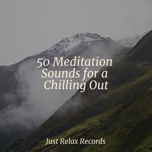 50 Meditation Sounds for a Chilling Out - Ambient